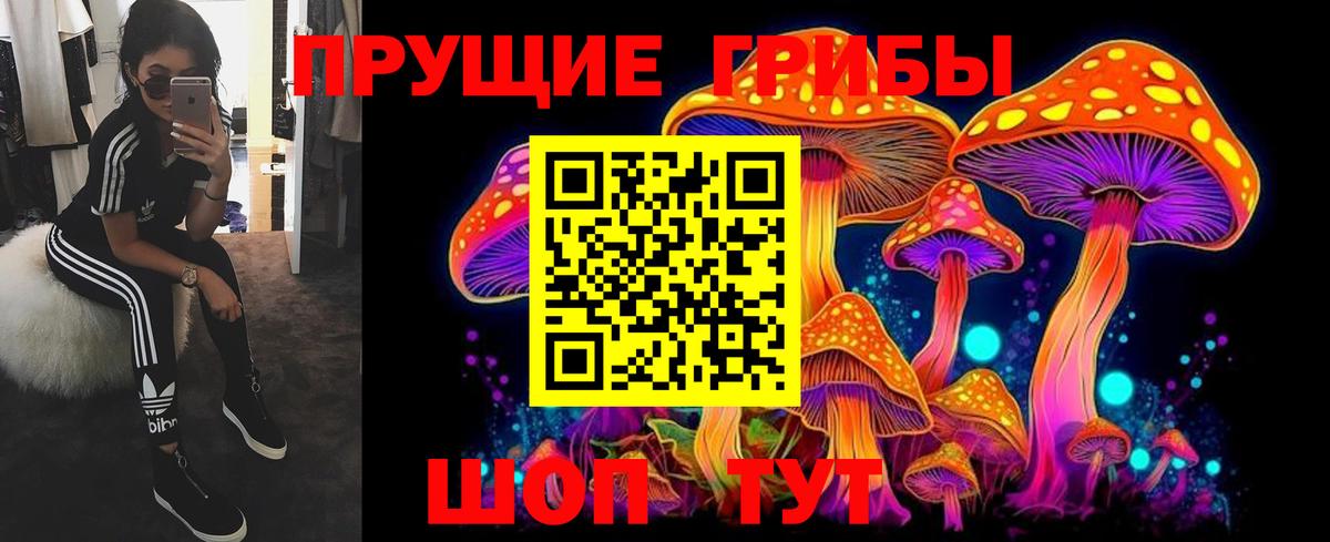 Кудымкар  Галлюциногенные грибы прущие грибы  Галлюциногенные грибы Psilocybe  Вход с VPN 
