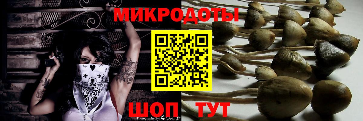Галлюциногенные грибы Magic Shrooms Кудымкар